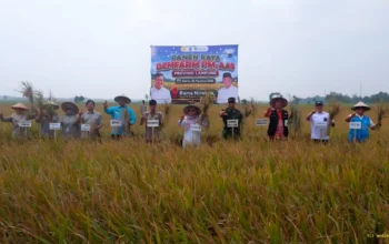 Jelang Hari Pelanggan Nasional PLN Dorong Penguatan Listrik untuk Pertanian Modern Lampung