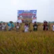 Jelang Hari Pelanggan Nasional PLN Dorong Penguatan Listrik untuk Pertanian Modern Lampung
