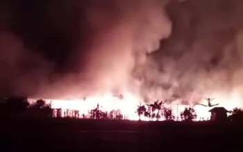 Kandang Ayam Terbakar Hebat di Tulungagung, 7.000 Ekor Mati dan Kerugian Rp1 Miliar