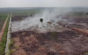 Karhutla di Area HGU Bengkalis Polda Riau Tetapkan 2 Tersangka