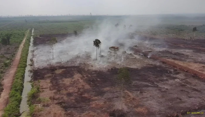 Karhutla di Area HGU Bengkalis, Polda Riau Tetapkan 2 Orang sebagai Tersangka