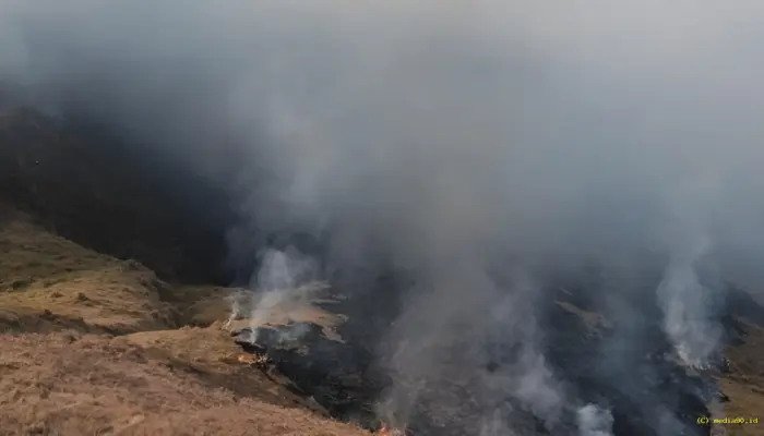Kebakaran Bromo Meluas hingga 120 Hektare, Helikopter Water Bombing Disiagakan