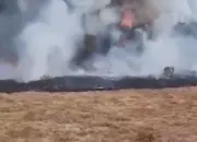 Kebakaran Sempat Melanda Alun-alun Suryakencana Gunung Gede, Api Berhasil Dipadamkan 10 Kebakaran Sempat Melanda Alun alun Suryakencana Gunung Gede Api Sudah Padam