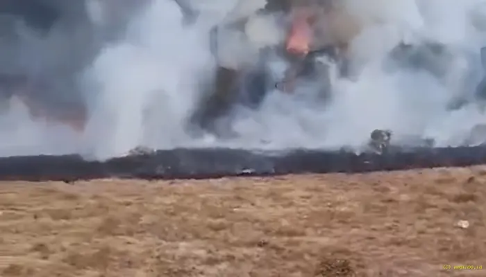 Kebakaran Sempat Melanda Alun-alun Suryakencana Gunung Gede, Api Berhasil Dipadamkan