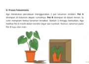Kunci Jawaban IPAS Kelas 4 Halaman 22 Kurikulum Merdeka Uji Kompetensi D Fotosintesis