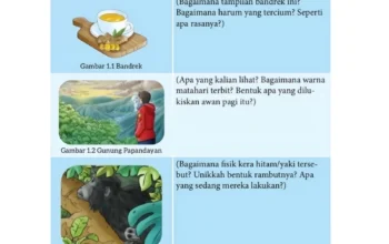 Kunci Jawaban Kegiatan 5a Bahasa Indonesia Kelas 7 Halaman 13, Mendeskripsikan Gambar