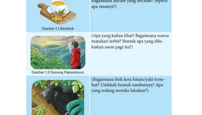 Kunci Jawaban Bahasa Indonesia Kelas 7 Halaman 13 Kegiatan 5a: Mendeskripsikan Gambar