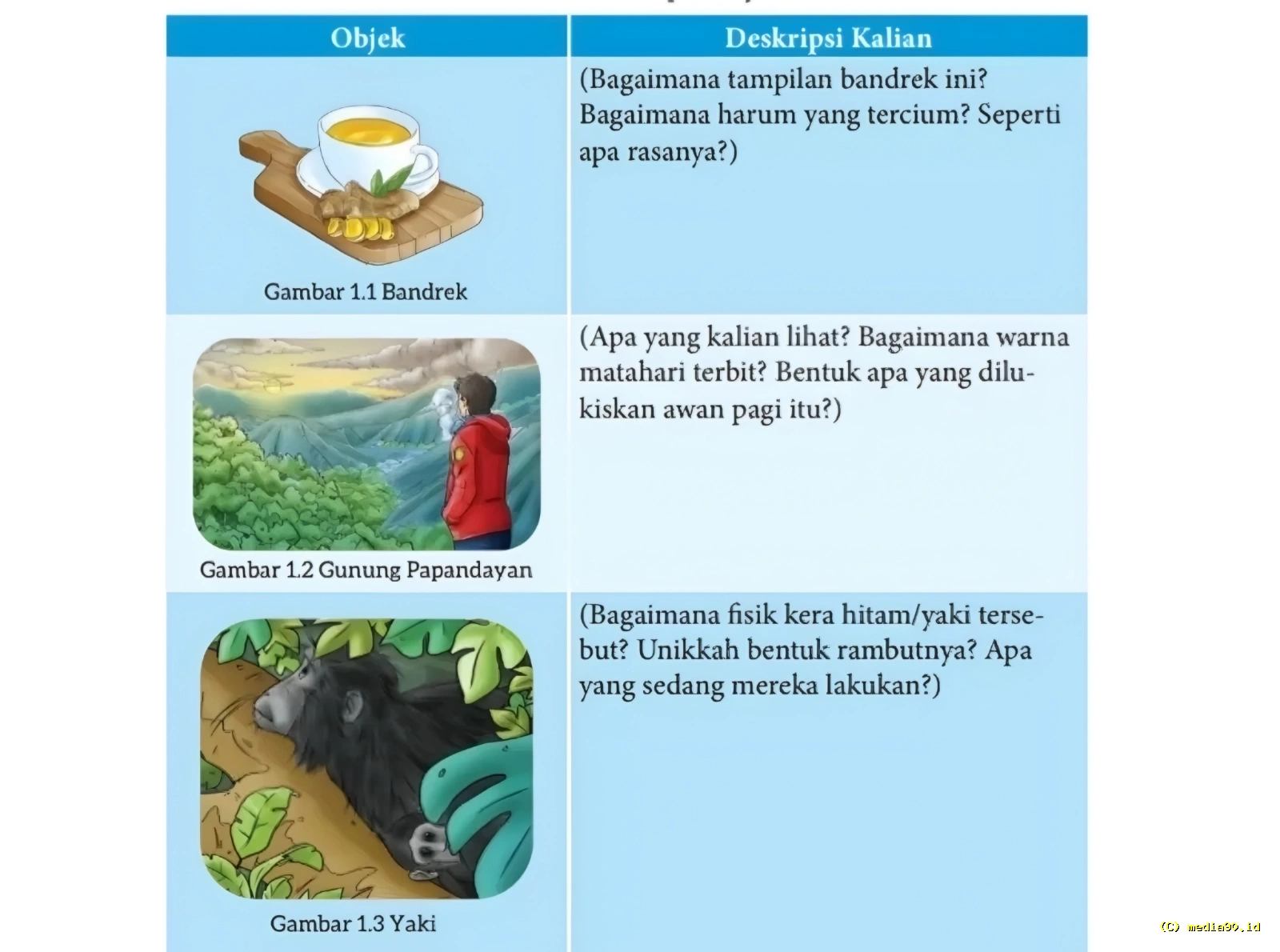 Kunci Jawaban Kegiatan 5a Bahasa Indonesia Kelas 7 Halaman 13, Mendeskripsikan Gambar