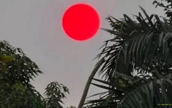 Matahari Tampak Tak Biasa di Palangka Raya, BMKG Jelaskan Penyebab Warna Merah