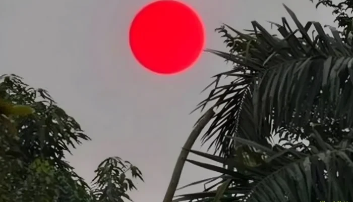 Matahari Merah Pekat Hebohkan Palangka Raya, BMKG Ungkap Penyebabnya