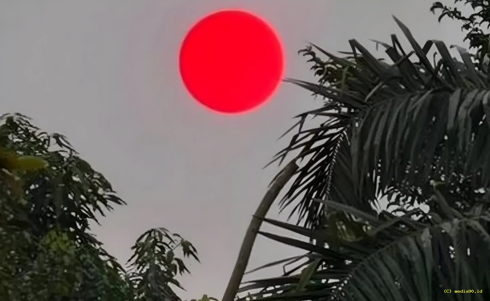 Matahari Tampak Tak Biasa di Palangka Raya, BMKG Jelaskan Penyebab Warna Merah