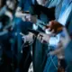 Pasar SoC Smartphone Global Menurun pada H1 2026, Counterpoint Ungkap Penyebabnya