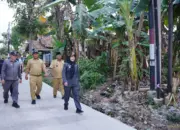Eva Dwiana Tinjau Hasil Perbaikan Jalan Wala Kuba di Way Laga, Mobilitas Warga Diharapkan Makin Lancar 15 Pastikan Proyek Berjalan Eva Dwiana Cek Perbaikan Jalan Wala Kuba Way Laga