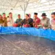 Pemkab Tubaba Beri Apresiasi kepada PLN Lampung atas Program Budidaya Lele Bioflok di Tumijajar