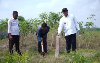 Pemkab Tubaba Gandeng BPN Tentukan Titik Koordinat untuk Percepatan Pembangunan Sekolah Rakyat