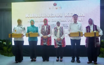 Pemprov Lampung Perkuat Sinergi untuk Perluas Kesempatan bagi Penyandang Disabilitas