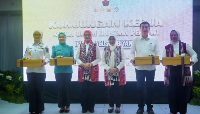 Pemprov Lampung Perkuat Kolaborasi untuk Perluas Kesempatan Penyandang Disabilitas