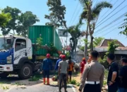 Pohon Tumbang Timpa Truk Kontainer di Jalan Rajawali Sukoharjo, Petugas Bergerak Cepat 15 Pohon Tumbang Timpa Truk Kontainer di Jalan Rajawali Sukoharjo Evakuasi Berlangsung