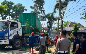 Pohon Tumbang Timpa Truk Kontainer di Jalan Rajawali Sukoharjo, Petugas Bergerak Cepat 8 Pohon Tumbang Timpa Truk Kontainer di Jalan Rajawali Sukoharjo Evakuasi Berlangsung