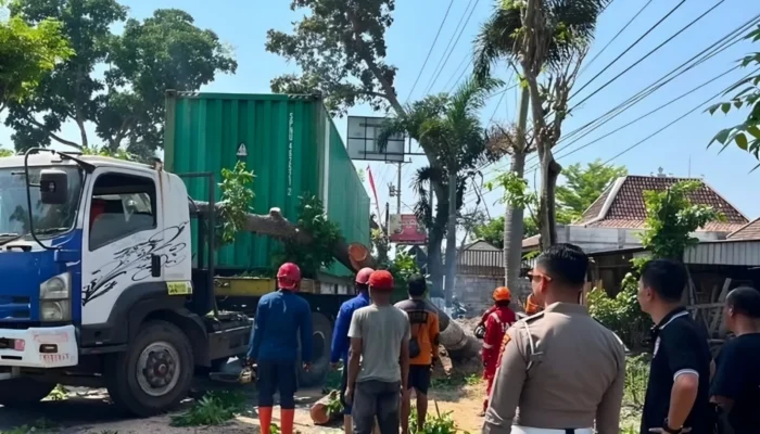 Pohon Tumbang Timpa Truk Kontainer di Jalan Rajawali Sukoharjo, Petugas Bergerak Cepat