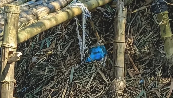 Pria Ditemukan Meninggal di Jembatan Bambu Dusun Bulu Wirosari, Identitas Masih Misterius