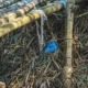 Pria Ditemukan Meninggal di Jembatan Bambu Dusun Bulu Wirosari Identitas Belum Terungkap
