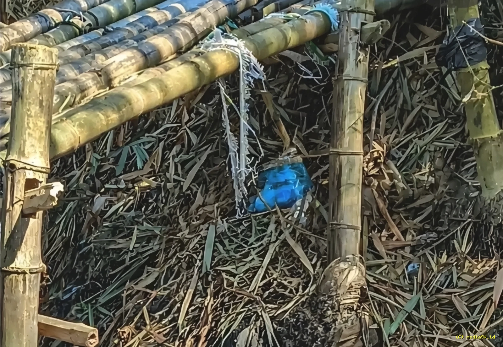 Pria Ditemukan Meninggal di Jembatan Bambu Dusun Bulu Wirosari Identitas Belum Terungkap