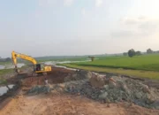 Demi Akhiri Konflik Gajah, Warga Sukorahayu Lampung Timur Rela Hibahkan Lahan untuk Tanggul