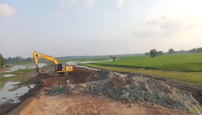 Demi Akhiri Konflik Gajah, Warga Sukorahayu Lampung Timur Rela Hibahkan Lahan untuk Tanggul