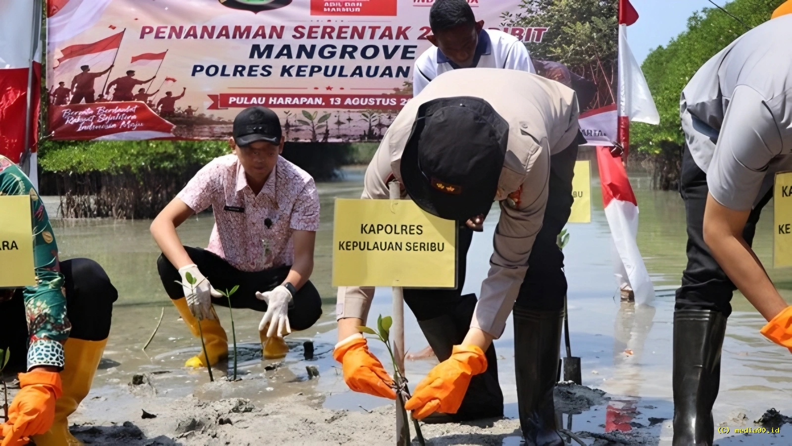Sambut HUT RI Polres Kepulauan Seribu Tanam 2.000 Mangrove dan Salurkan Bansos