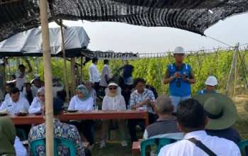 Sambut Kemerdekaan, PLN UP3 Metro Dorong Produktivitas Petani Lampung Timur dengan Listrik