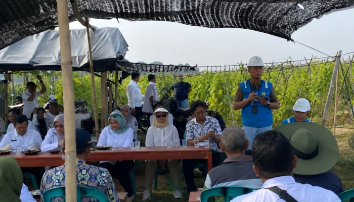 Jelang HUT ke-81 RI, PLN UP3 Metro Perkuat Ketahanan Pangan Lampung Timur Lewat Listrik Masuk Sawah