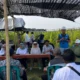 Sambut Kemerdekaan, PLN UP3 Metro Dorong Produktivitas Petani Lampung Timur dengan Listrik