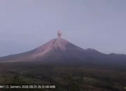 Semeru Erupsi Lagi Abu Vulkanik Membubung 600 Meter Warga Diminta Waspada