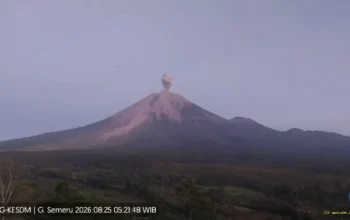 Semeru Erupsi Lagi Abu Vulkanik Membubung 600 Meter Warga Diminta Waspada