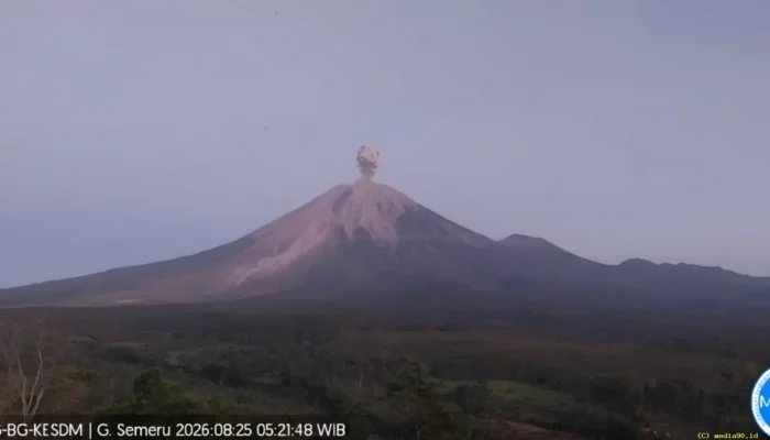 Gunung Semeru Kembali Erupsi, Kolom Abu Capai 600 Meter, Warga Diminta Jauhi Zona Bahaya