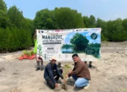 TDM Lampung Tanam Ribuan Pohon Mangrove, Perkuat Kepedulian Lingkungan di Kalianda