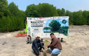 TDM Lampung Tanam Ribuan Pohon Mangrove, Perkuat Kepedulian Lingkungan di Kalianda