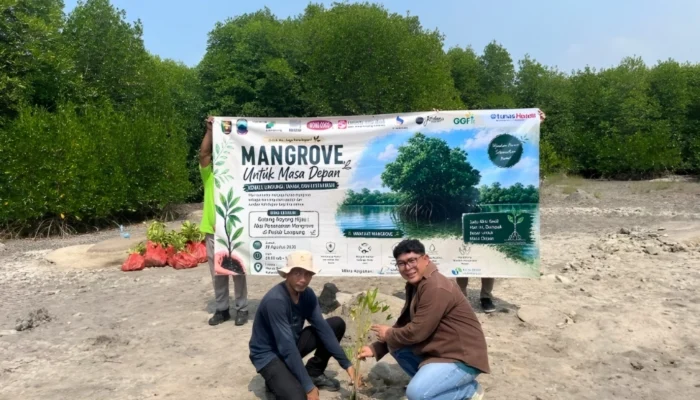 TDM Lampung Tanam 4.000 Mangrove di Pesisir Kalianda, Wujud Sinergi Bagi Negeri