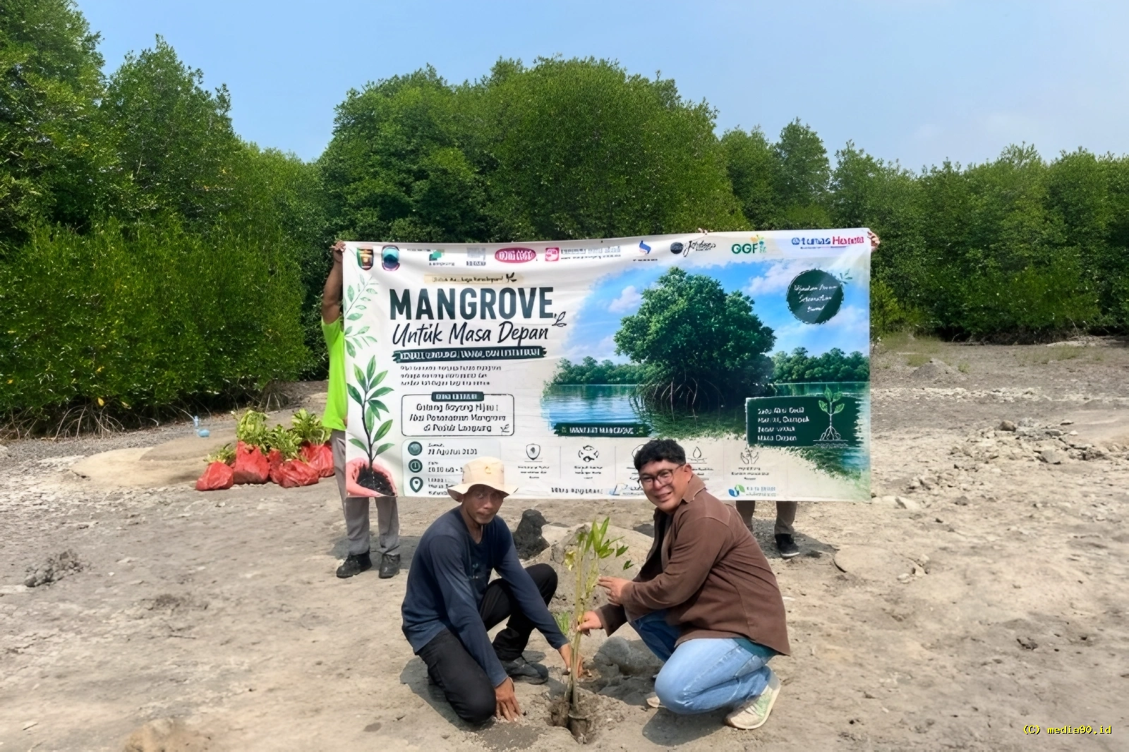 TDM Lampung Tanam Ribuan Pohon Mangrove, Perkuat Kepedulian Lingkungan di Kalianda