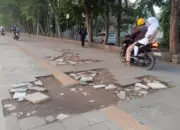 Trotoar Jalan Alternatif Sentul Rusak, Kerap Dipakai Pemotor sebagai Jalur Pintas 13 Trotoar Jalan Alternatif Sentul Rusak Kerap Dipakai Pemotor sebagai Jalur Pintas