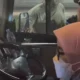 Viral Bus Damri di Tol Jagorawi Diduga Dipepet Truk Tanpa Pelat, Penumpang Klaim Diancam Golok
