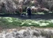 Viral Dua Pemuda Diduga Mandi Pakai Sabun di Mata Air Qolbu Gunung Argopuro Bikin Heboh