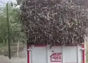 Viral Truk Koperasi Desa Merah Putih di Sragen Dipakai Angkut Tebu, Kodim Langsung Turun Tangan 10 Viral Truk Koperasi Desa Merah Putih di Sragen Dipakai Angkut Tebu Kodim Langsung Turun Tangan