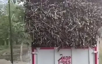 Viral Truk Koperasi Desa Merah Putih di Sragen Dipakai Angkut Tebu, Kodim Langsung Turun Tangan 3 Viral Truk Koperasi Desa Merah Putih di Sragen Dipakai Angkut Tebu Kodim Langsung Turun Tangan