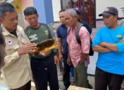 Budidaya Lebah Dikembangkan di Penyangga Way Kambas, Dorong Ekonomi dan Ekologi