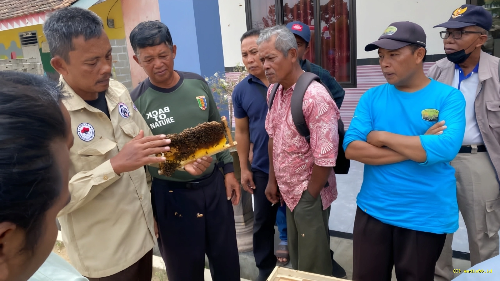 Dorong Ekonomi dan Kelestarian Alam, Budidaya Lebah Diterapkan di Penyangga Way Kambas