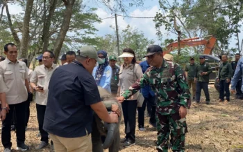 Karhutla Padam, Komisi IV DPR RI Ingatkan Way Kambas Tak Boleh Sekadar Dipadamkan