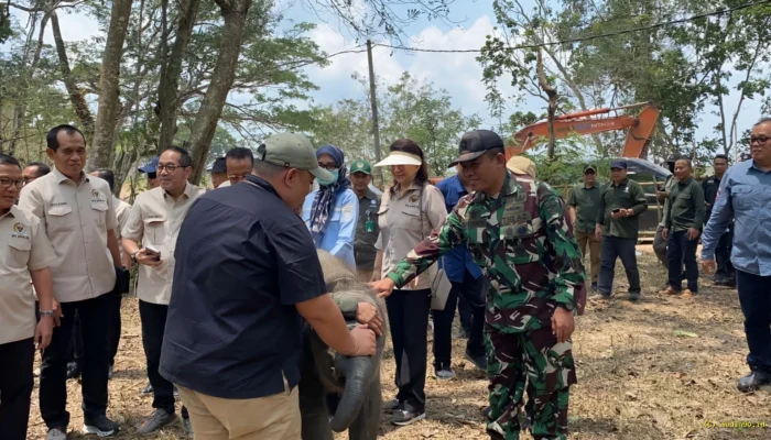 Karhutla Padam, Komisi IV DPR RI Ingatkan Way Kambas Tak Boleh Sekadar Dipadamkan