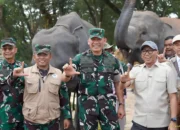 Warga Sekitar Way Kambas Didorong Tanam Sere dan Budidaya Magot untuk Cegah Konflik Gajah